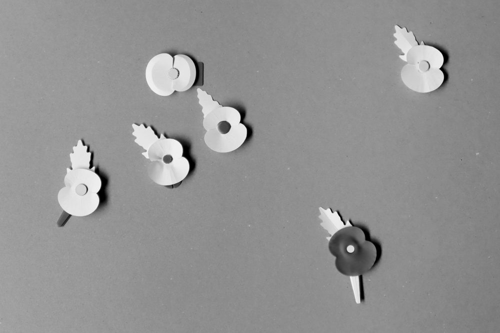 Matter designs recyclable plastic-free remembrance poppy