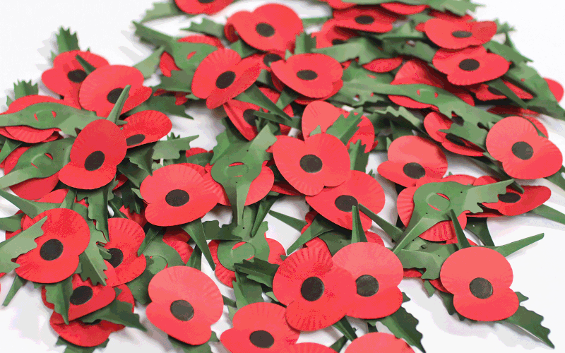 Remembrance poppies to be made entirely from paper in future, Remembrance Day
